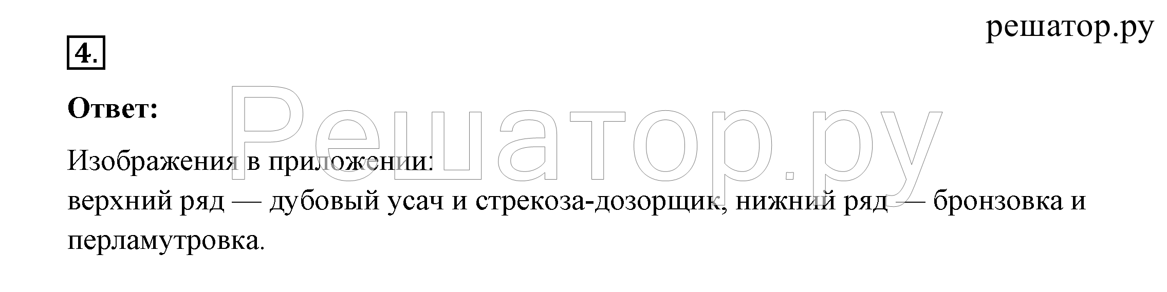 >Окружающий мир Плешаков 2 класс 5