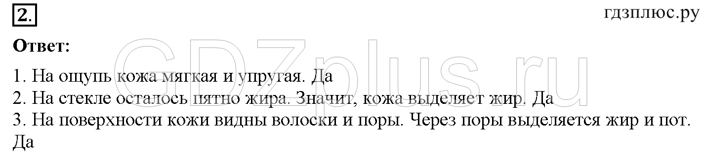 >Окружающий мир Плешаков — рабочая тетрадь 3 класс 5