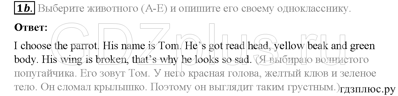>Английский язык Spotlight Student’s book (учебник) 5 класс 0