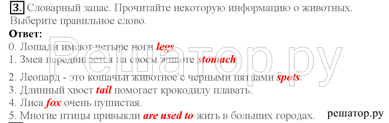 >Английский язык Кузовлев Activity book — рабочая тетрадь 6 класс 12