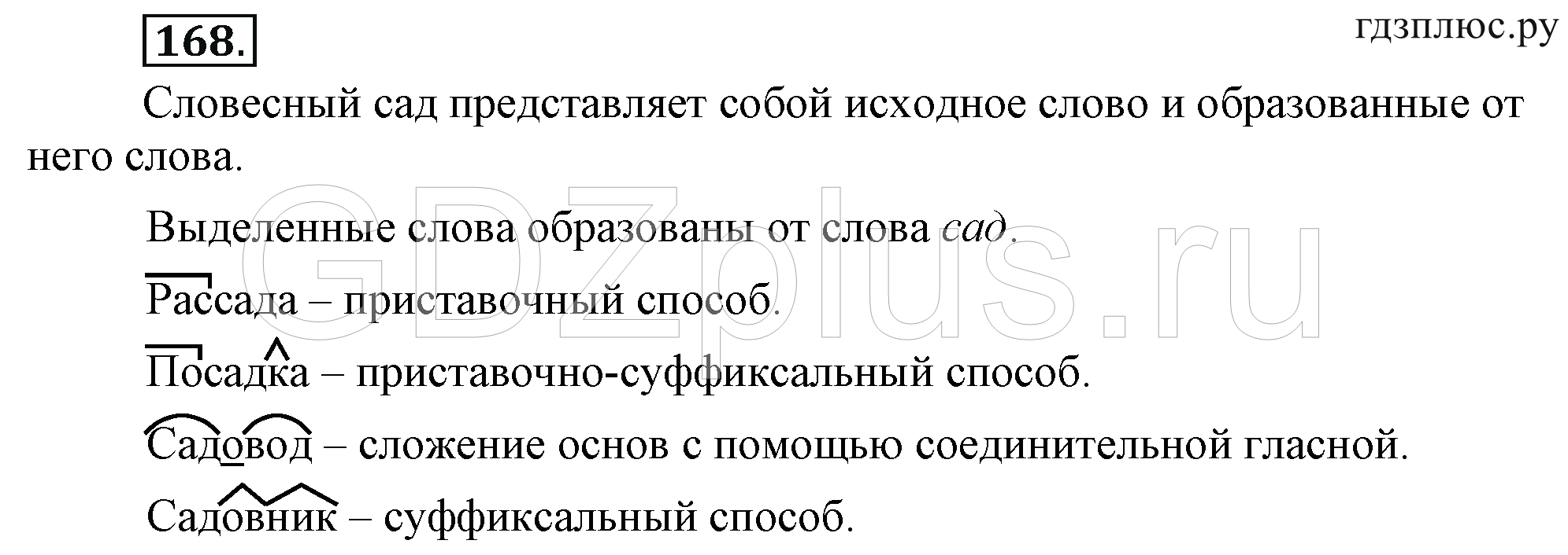 Телеграмма по русскому языку 6 класс фото 29