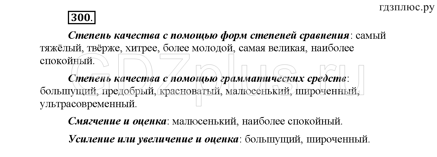 >Русский язык Рыбченкова 6 класс Дополнительные вопросы