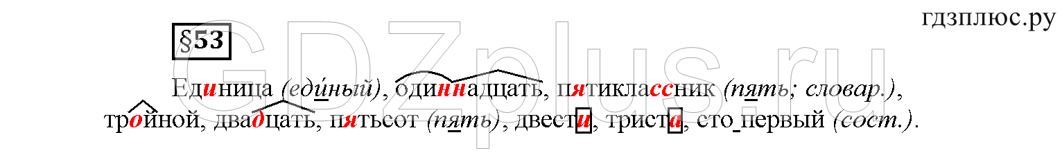 >Русский язык Рыбченкова 6 класс Дополнительные вопросы
