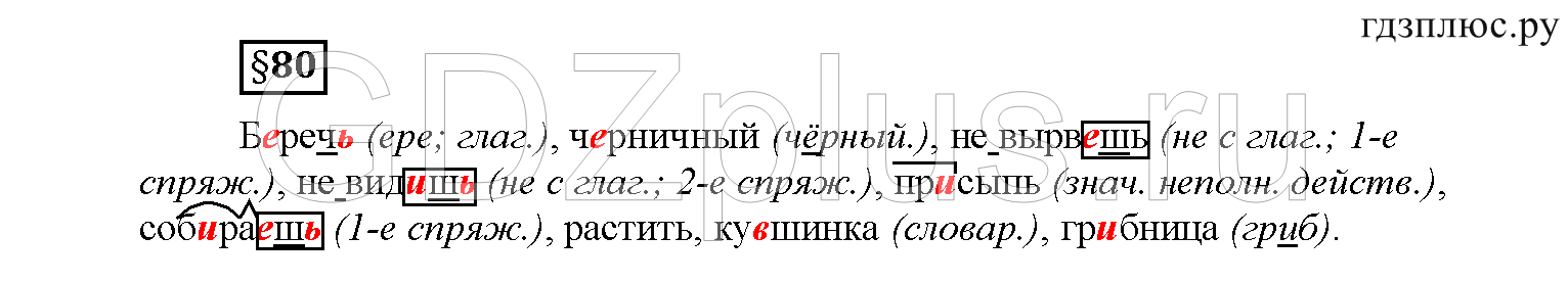 >Русский язык Рыбченкова 6 класс Дополнительные вопросы