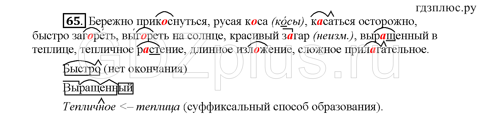 >Русский язык Рыбченкова 6 класс Дополнительные вопросы
