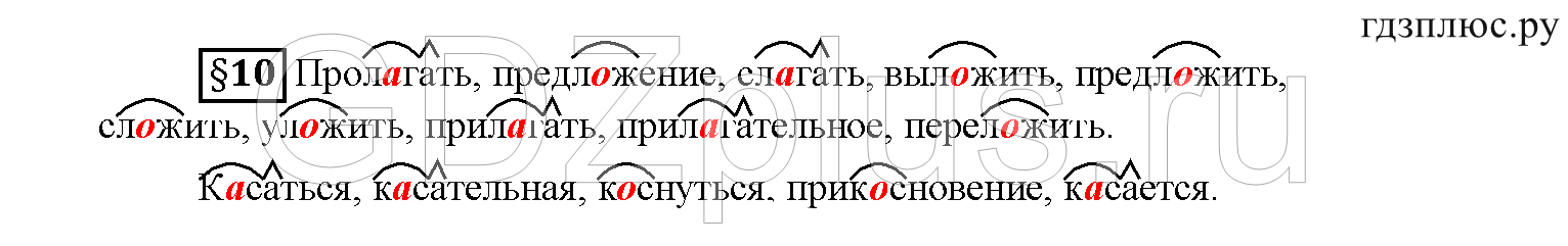 >Русский язык Рыбченкова 6 класс Дополнительные вопросы