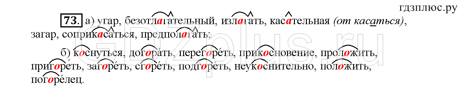 >Русский язык Рыбченкова 6 класс Дополнительные вопросы