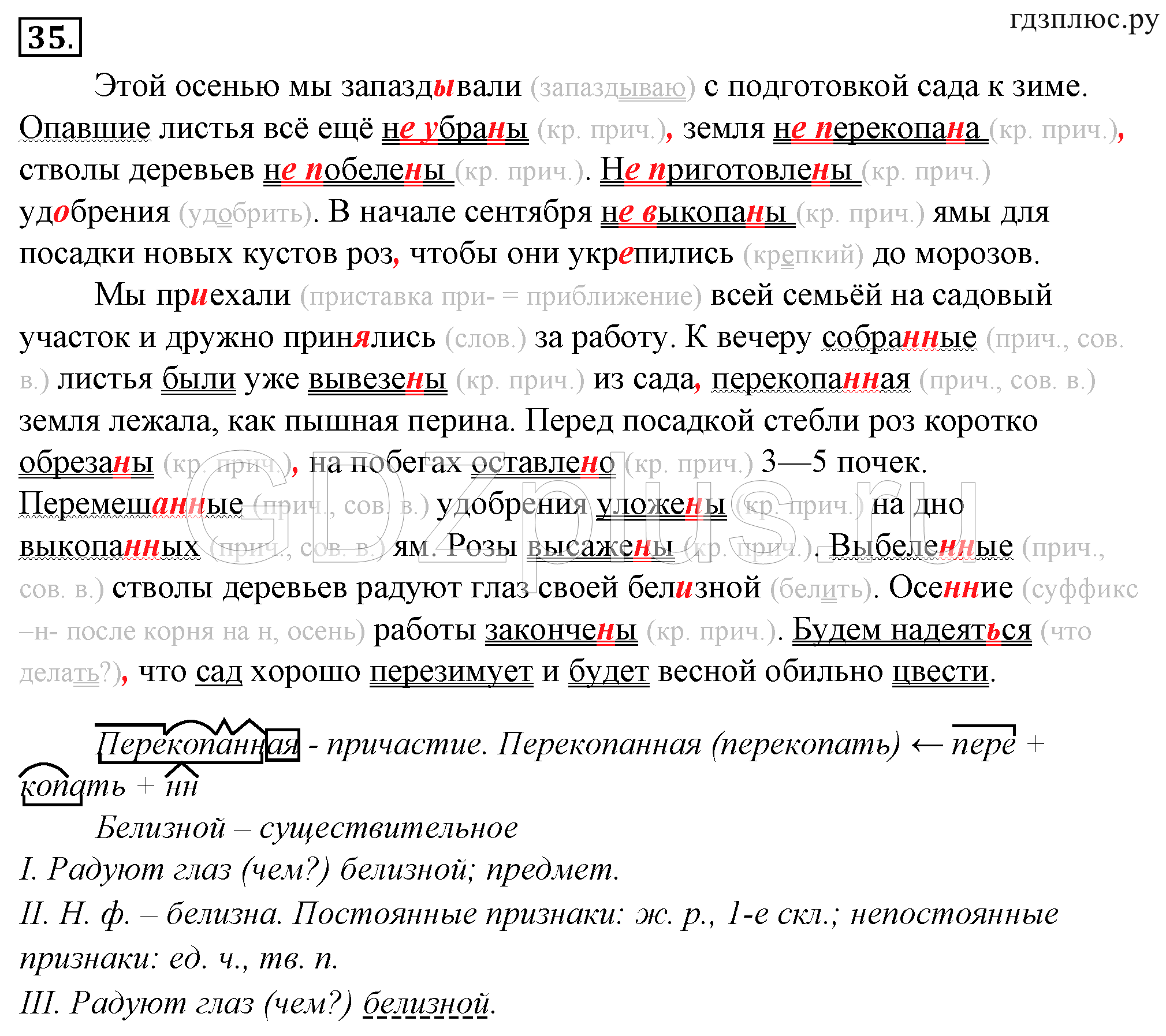 ></img>Русский язык Тростенцова 8 класс 453